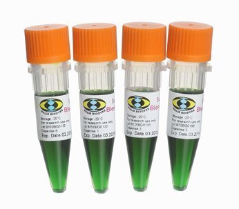 5x HOT FIREPol® Blend Master Mix Ready to Load with 12.5 mM MgCl2