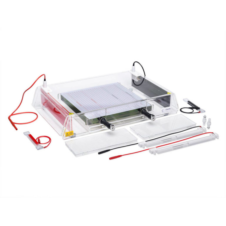 Flatbed IEF system for IEF strips and gels - Thistle Scientific